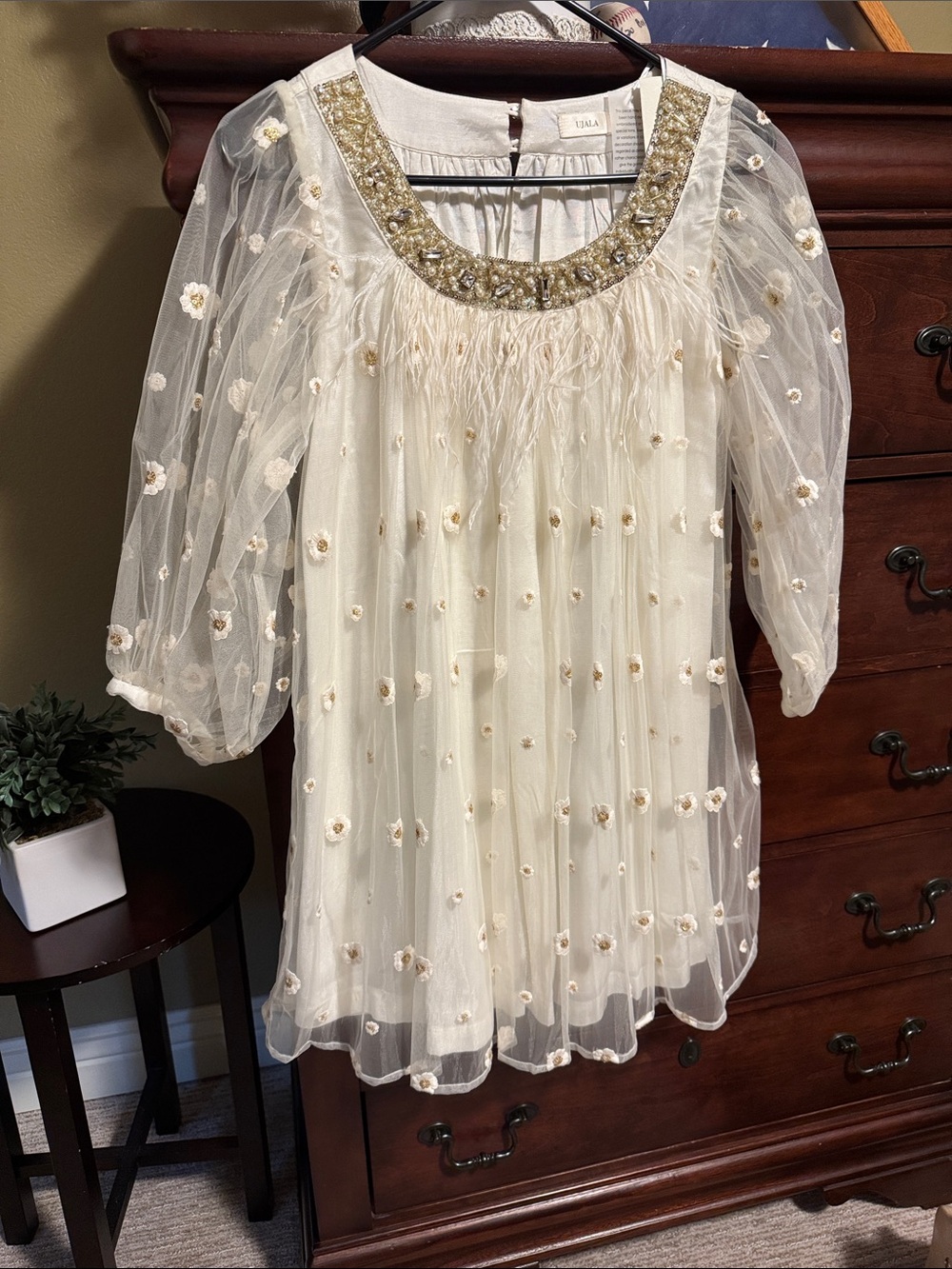 Ujala Cream Tulle Dress